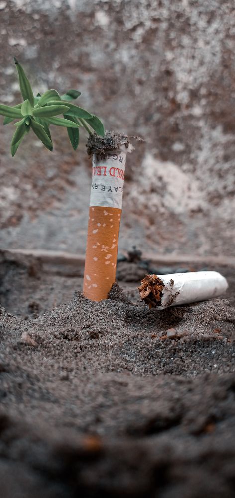Stop smoking