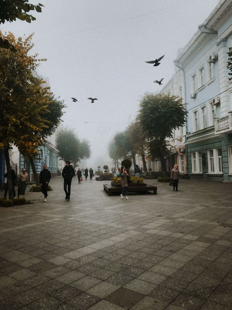 Photograph by Богдан Дубинский