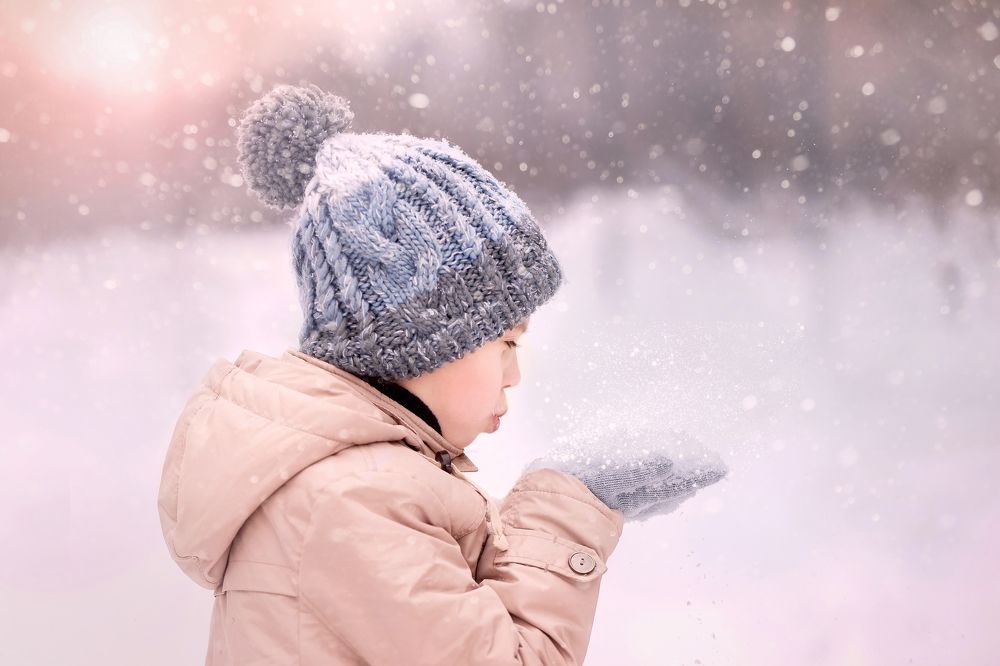 Снежный день