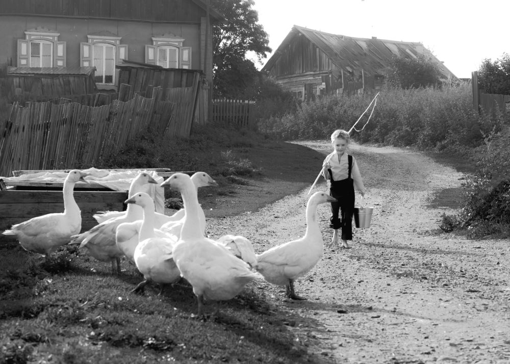 Photograph by Елена Савченкова