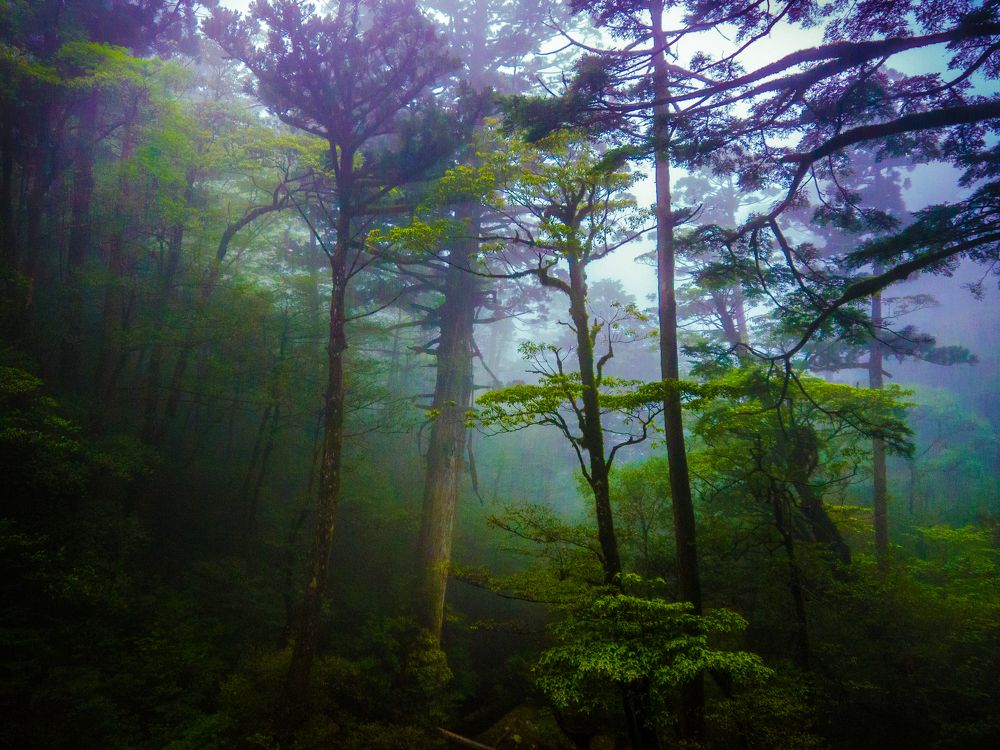 Photograph by Alexander Georgiev