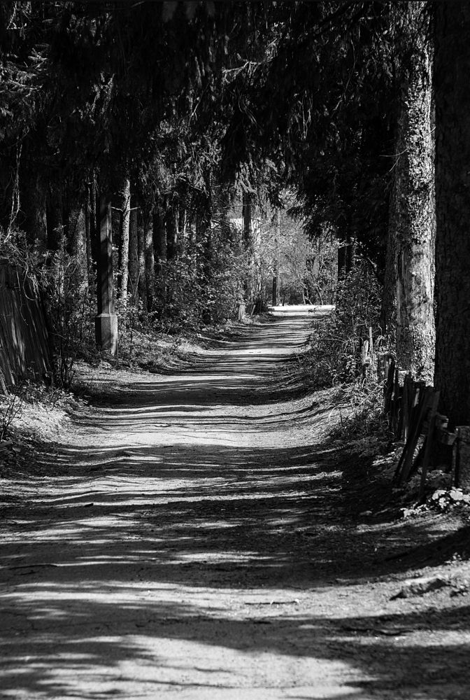 Photograph by Елена Элланхи