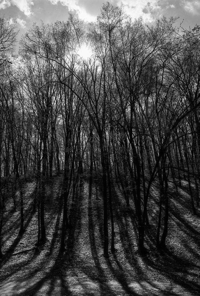 Photograph by Елена Элланхи