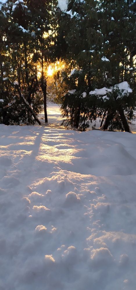 Photograph by Любовь Макарова