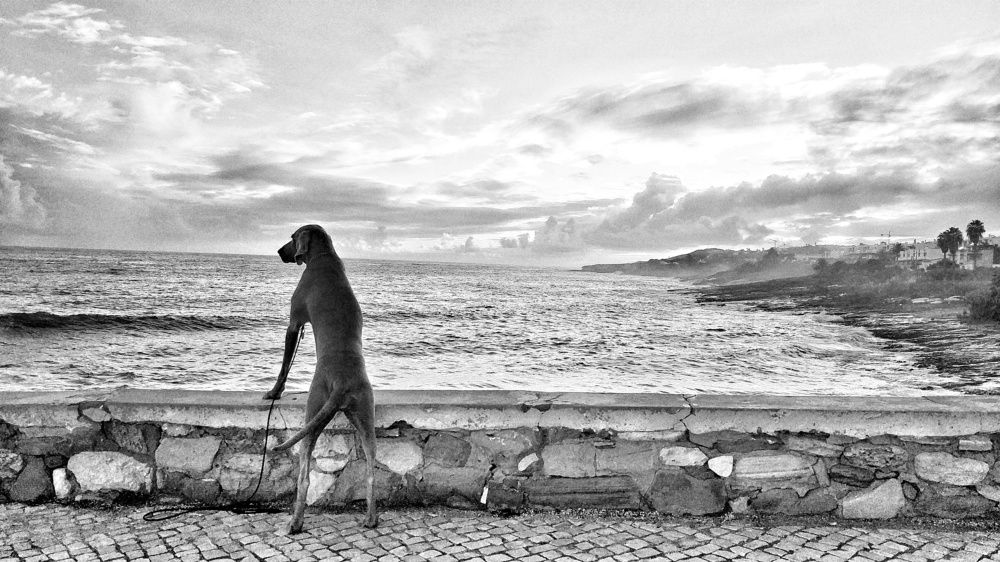 Photograph by Dominik Michalak