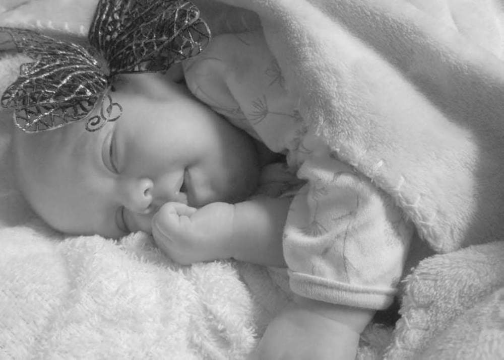 Photograph by Stacey Oberholster