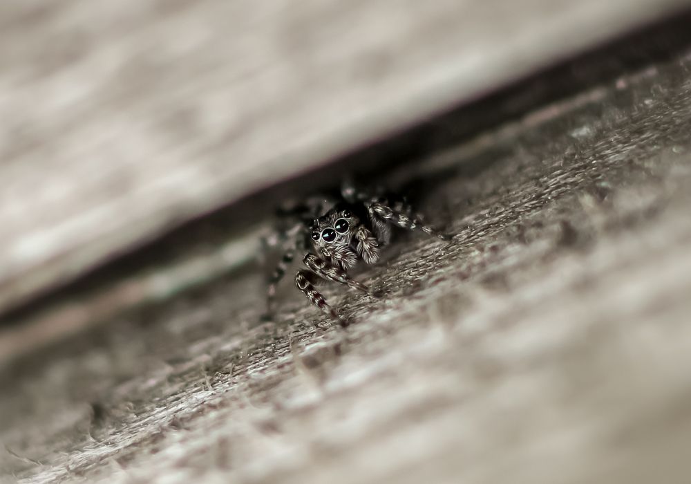 Photograph by Екатерина Вспышкина