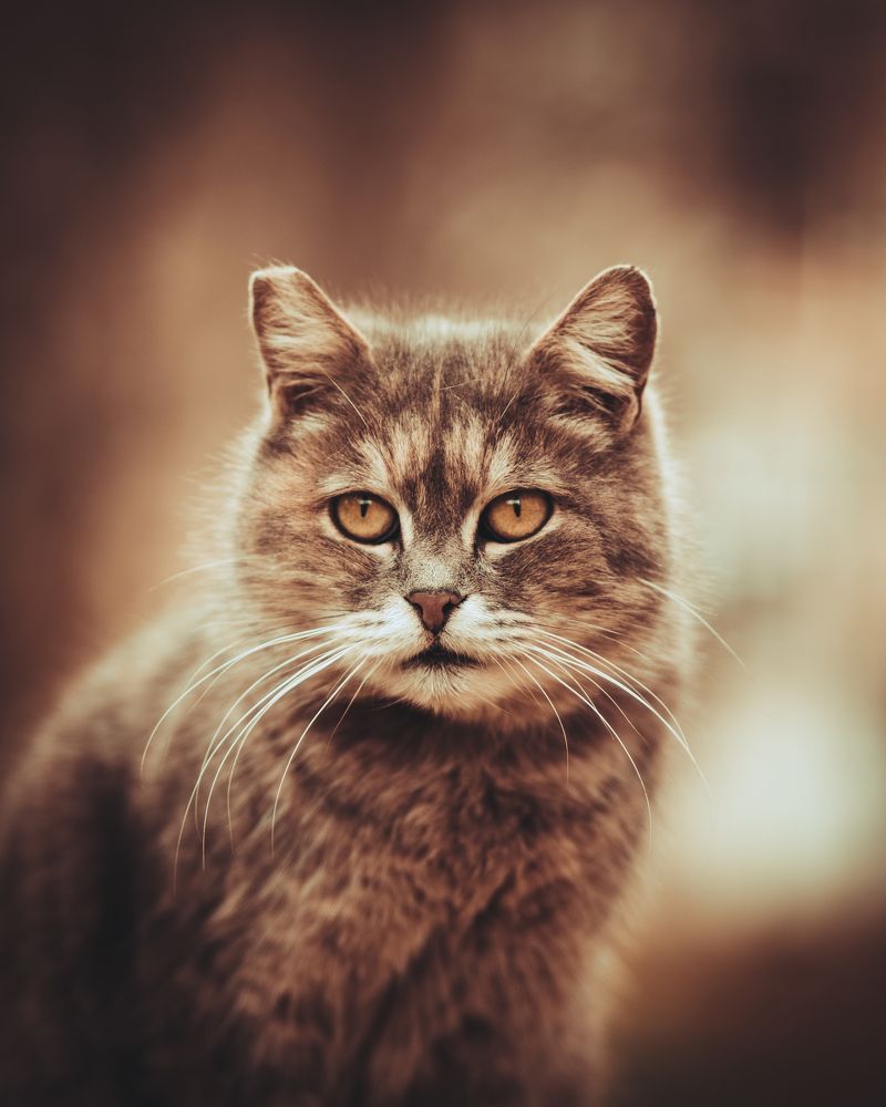 Photograph by Вюсал Асадов