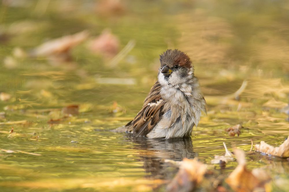 Photograph by Денис Ветренко