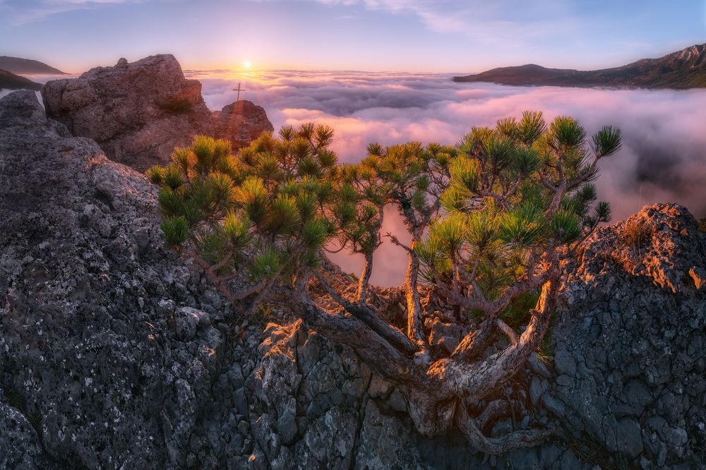 Photograph by Konstantin Voronov