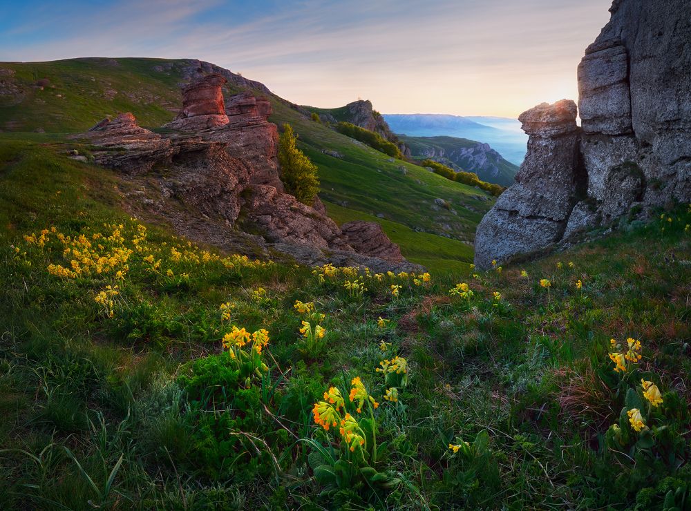 Photograph by Konstantin Voronov