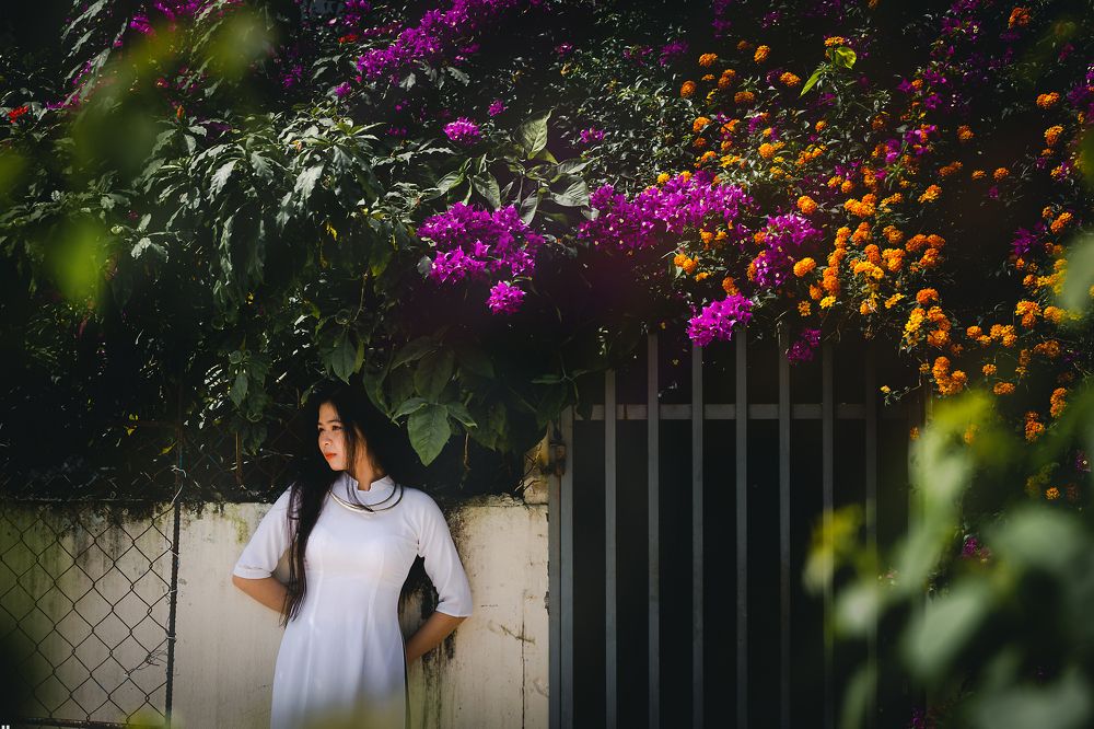 Photograph by phong nguyen