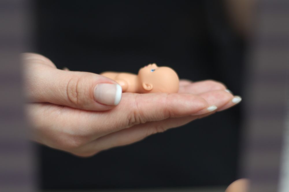 Photograph by Nadzeya Sukhenko