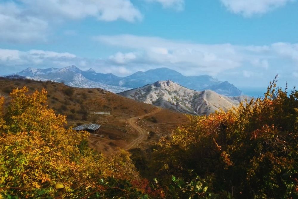 Photograph by Александра Ковалёва