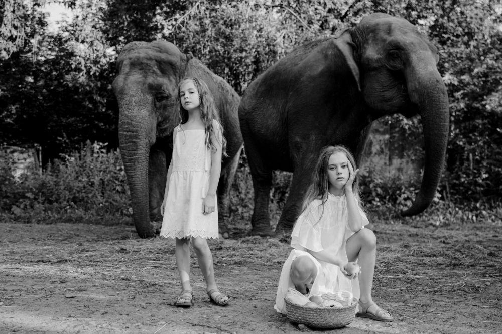 Photograph by Анастасия Паршакова