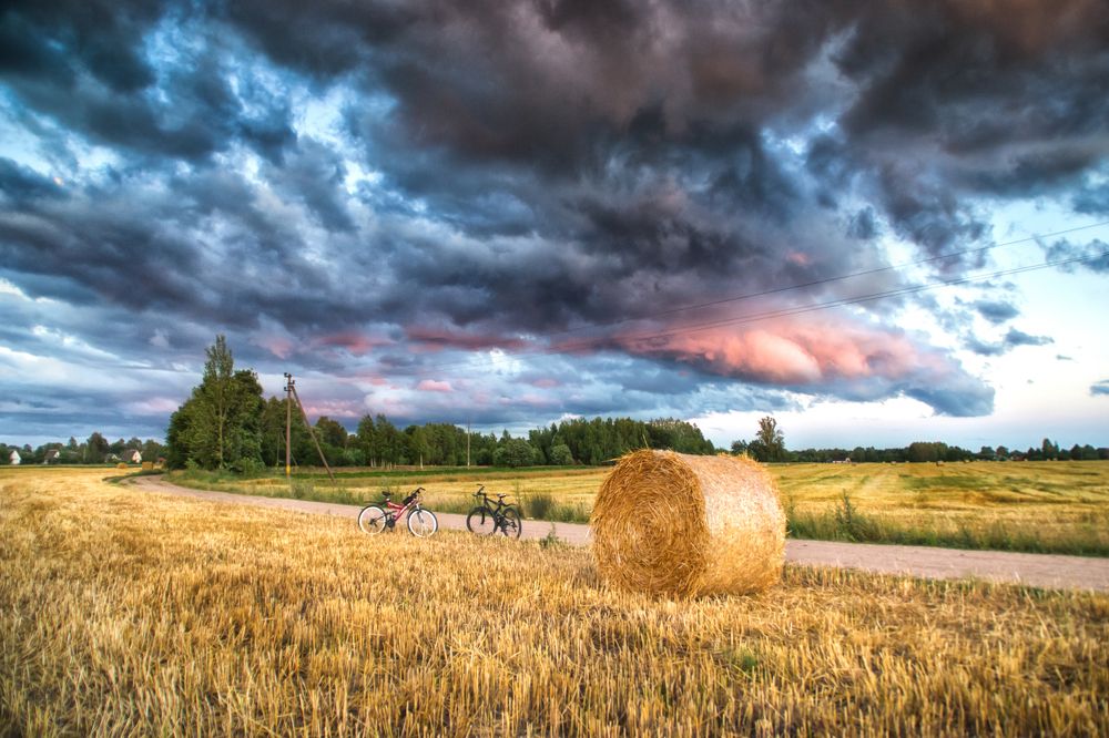 Фотография автора Юлия Кранина