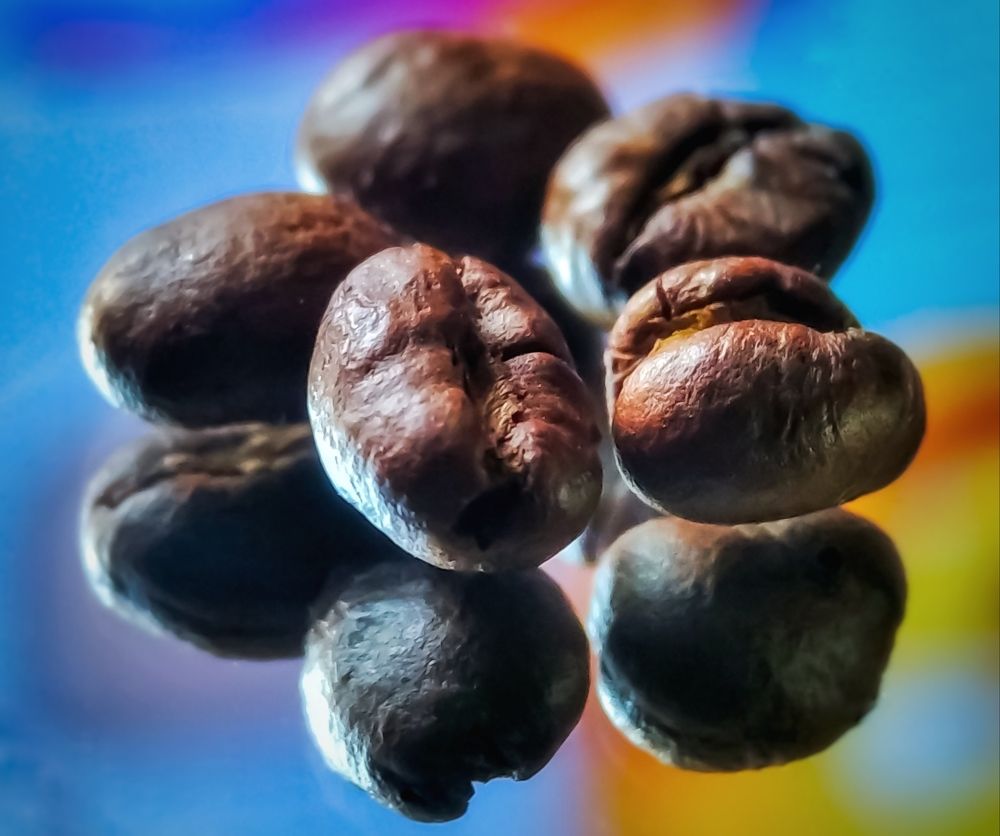 Photograph by Алексей Копылов