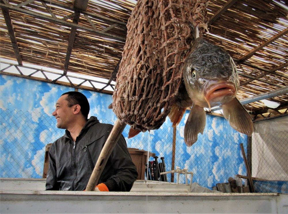 Photograph by Фотима Абдурахманова