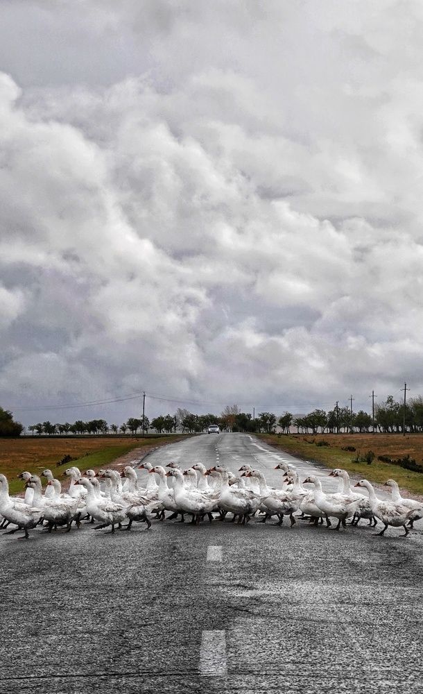 Photograph by Ксения Горленко