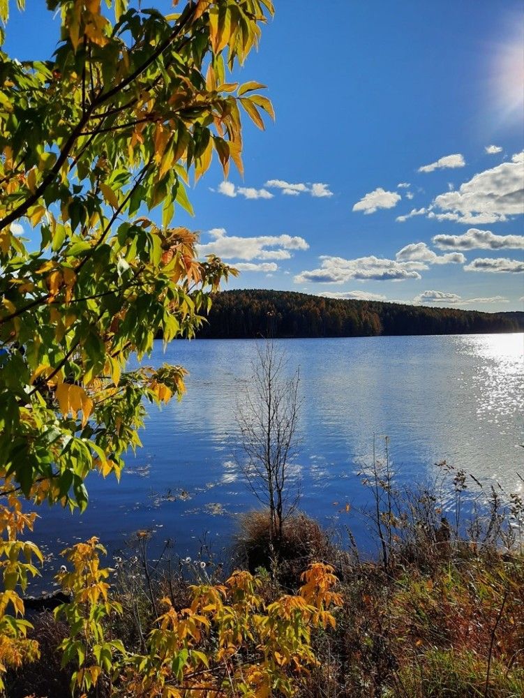 Photograph by Ирина Лашук