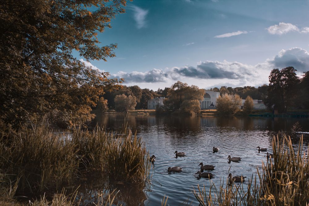 Photograph by Светлана Алексеева