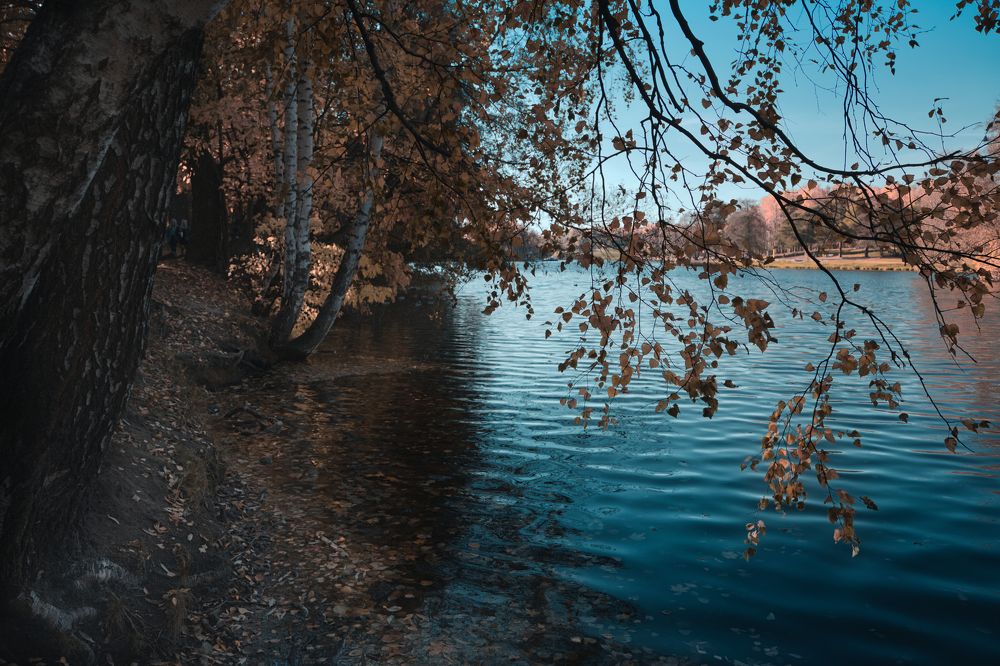 Photograph by Светлана Алексеева