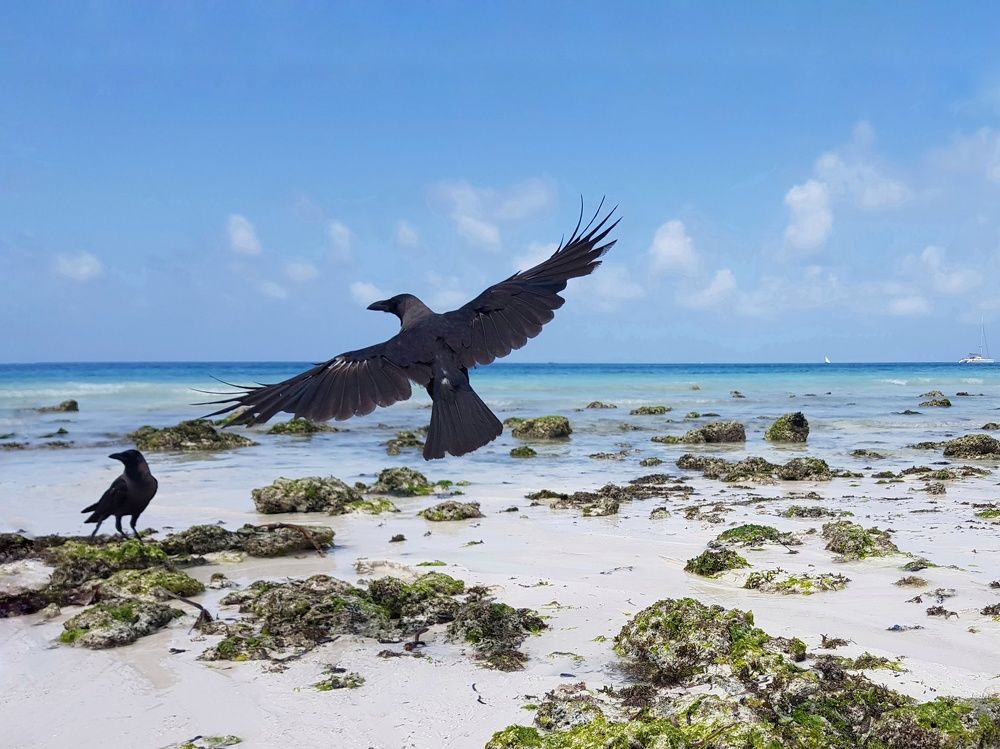 Photograph by Екатерина Вивюрская