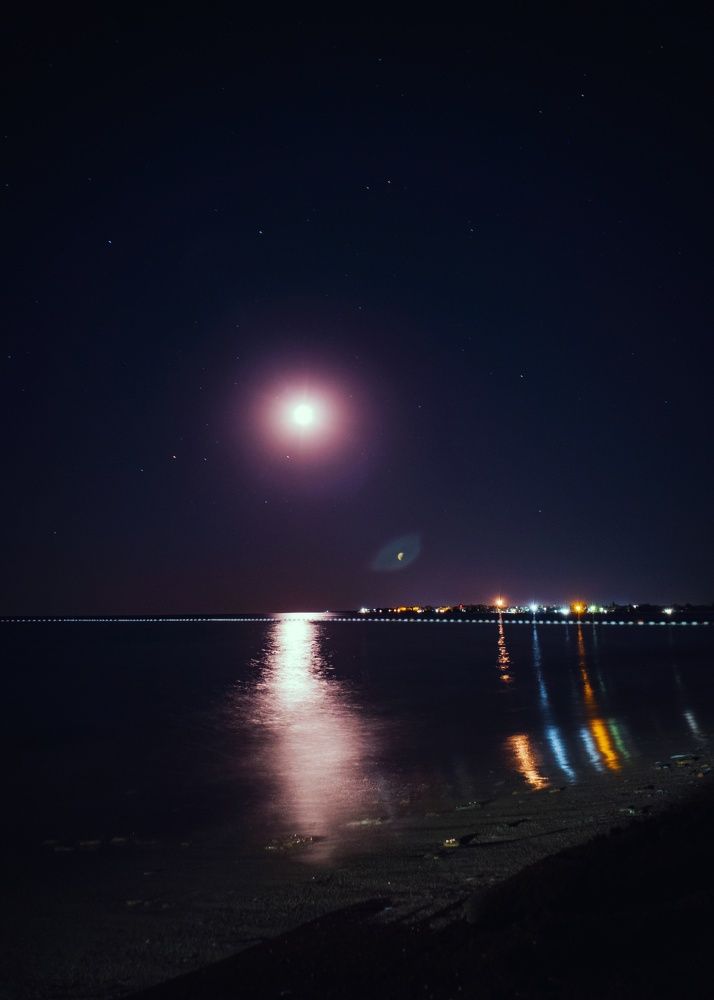 Photograph by Artem Gatin