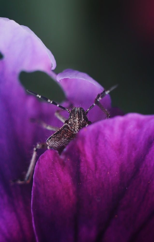 Photograph by Artem Gatin