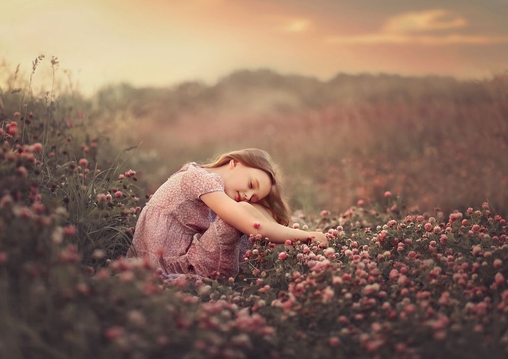 Розовые мечты.