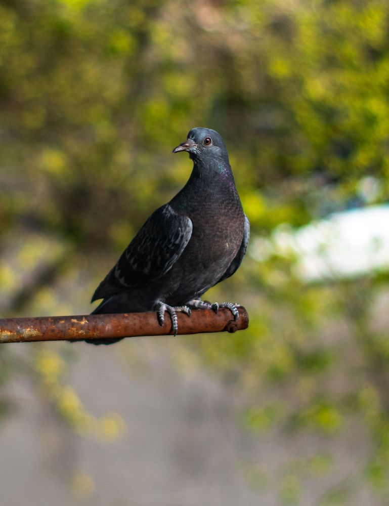Photograph by Владимир Зеленский