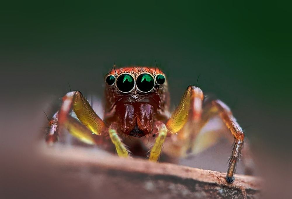 Photograph by Fahad Rabbi