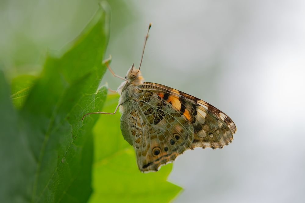 Photograph by Денис Ветренко
