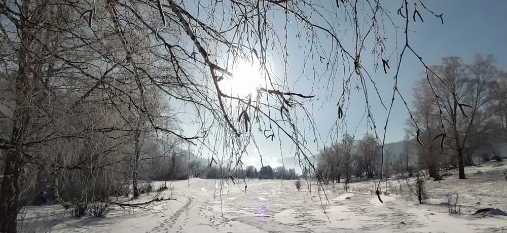 Photograph by татьяна надточий