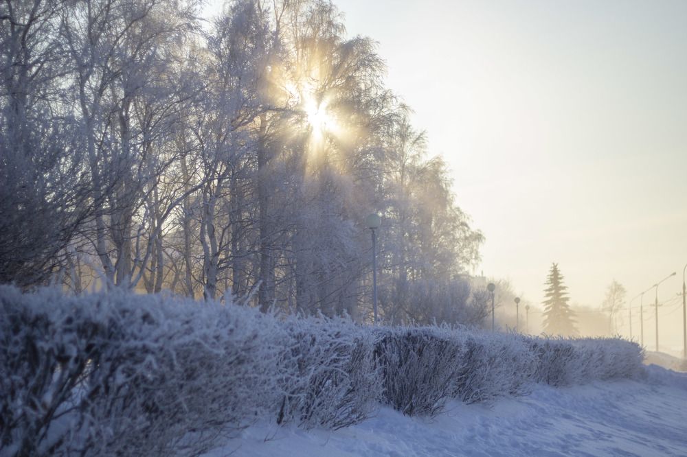 Photograph by Elena Kostochkina