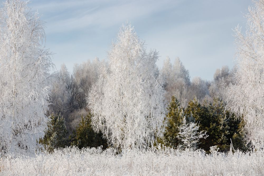 Photograph by Сергеев Сергей