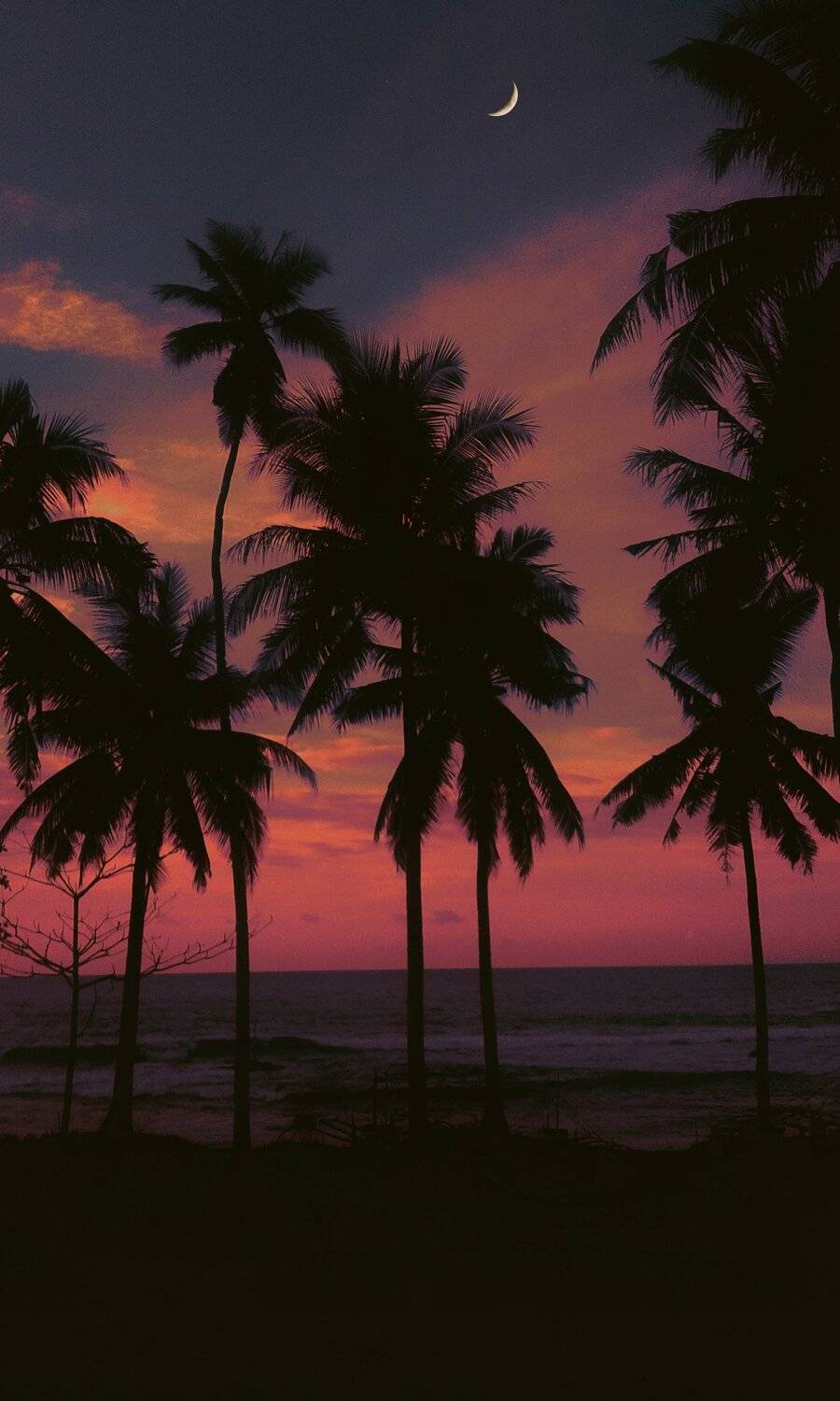 Golden Hours