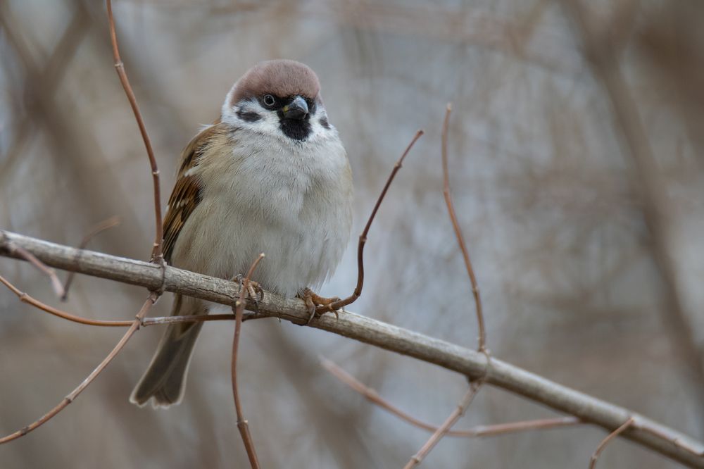Photograph by Денис Ветренко