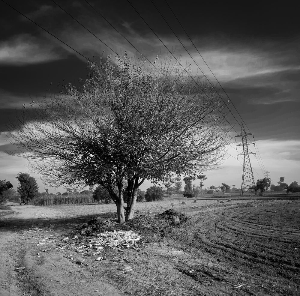 Photograph by Zee Shaan