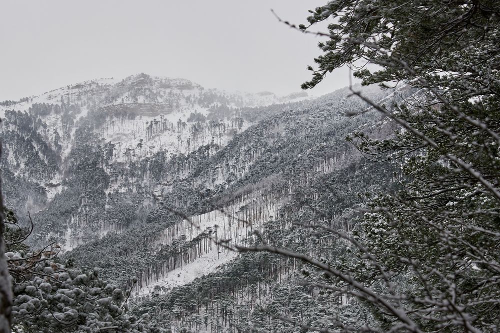 Photograph by Наталья Богач