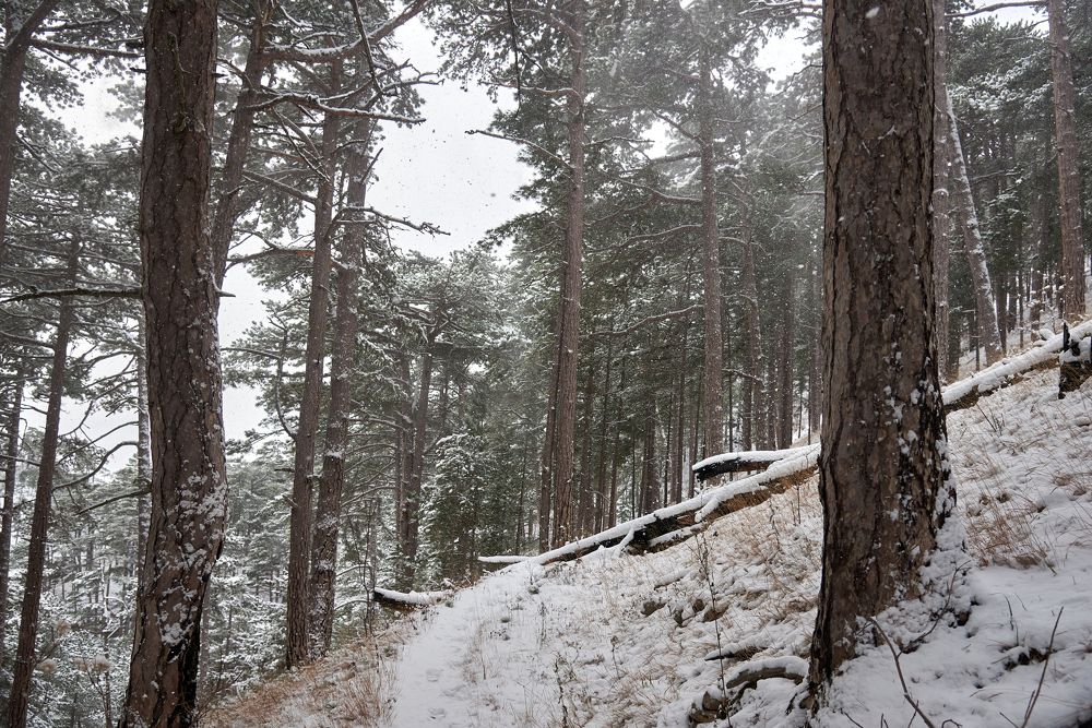 Photograph by Наталья Богач