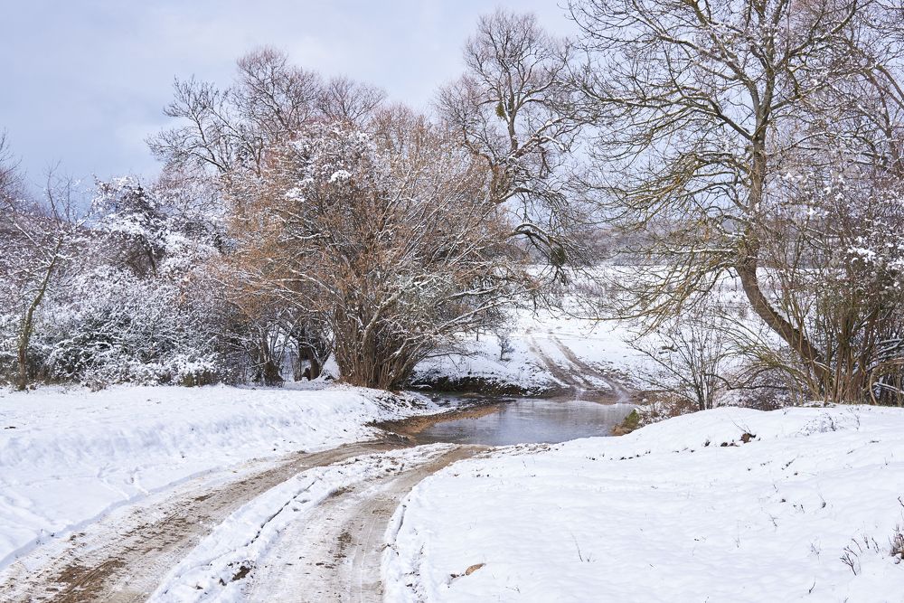 Photograph by Наталья Богач