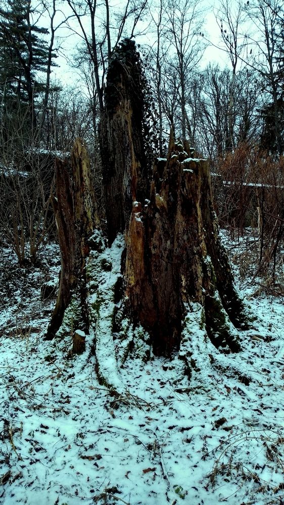 Photograph by Mark Barecki