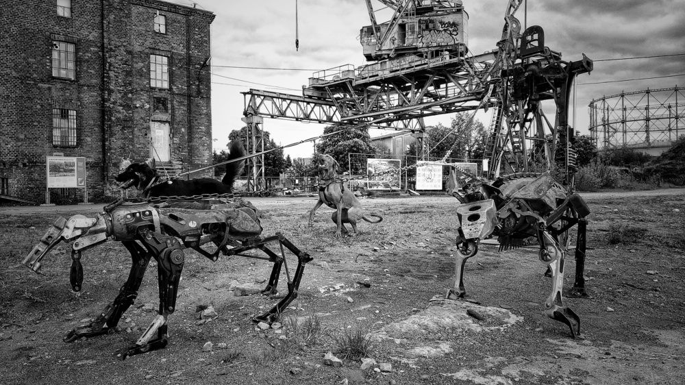 Photograph by Dominik Michalak