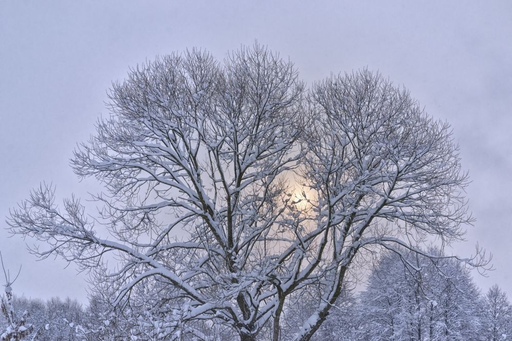 Фотография автора Юлия Кранина