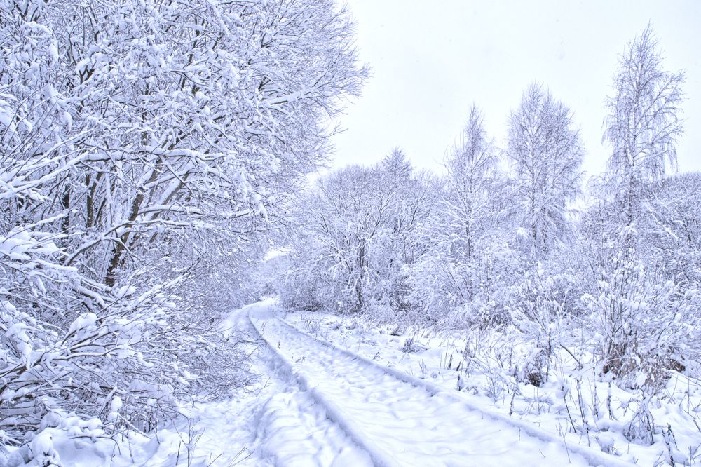 Фотография автора Юлия Кранина