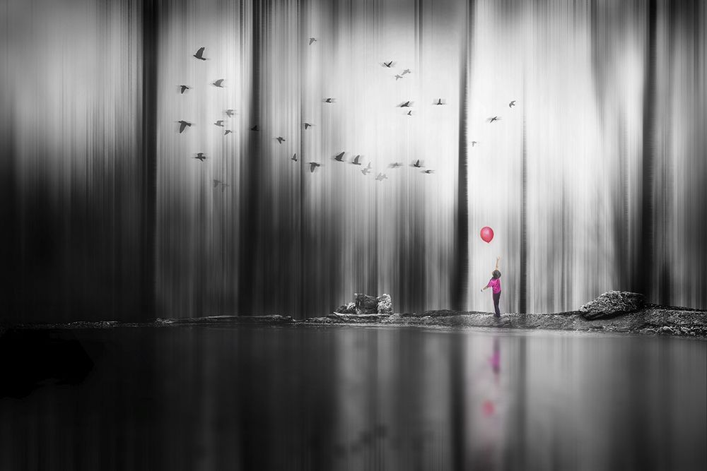 Photograph by amir badrazimi