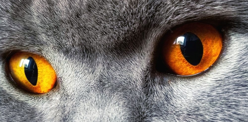 Photograph by Dominik Michalak