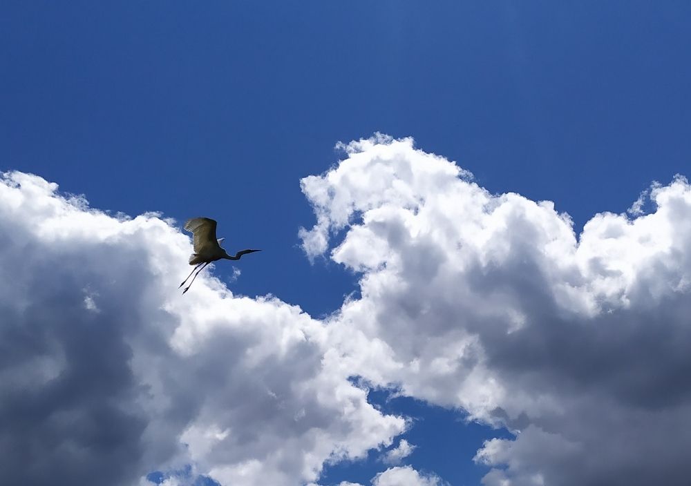 Photograph by Павел Михно