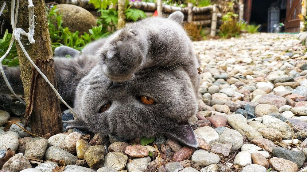 Photograph by Dominik Michalak